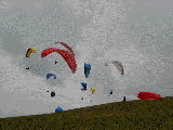 Gleitschirmflieger auf der Wasserkuppe (selbst gemessene Windgeschwindigkeiten zwischen 30 und 42 km/h am Boden!!!).